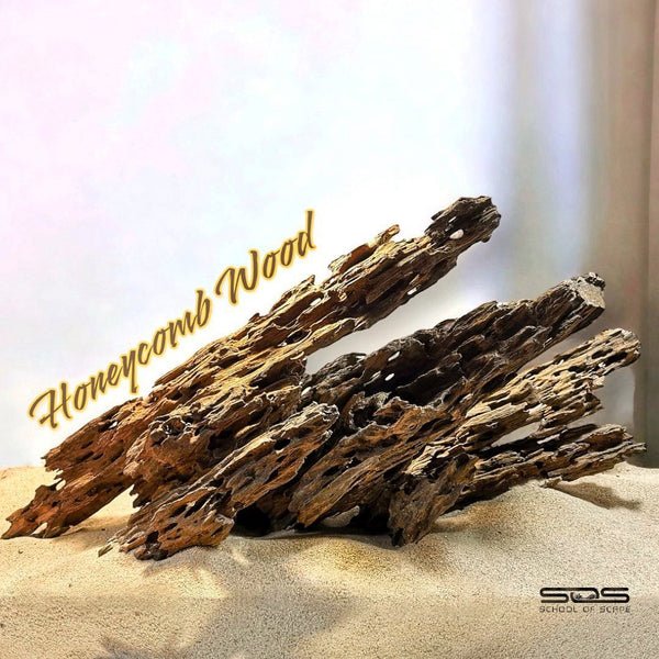 Honeycomb Wood - Premium Lightweight Aquascaping Driftwood