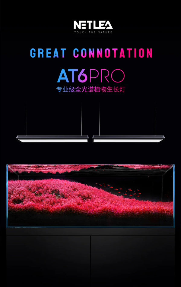 Buy Netlea AT6 Pro 160W, Now More Affordable Than Ever