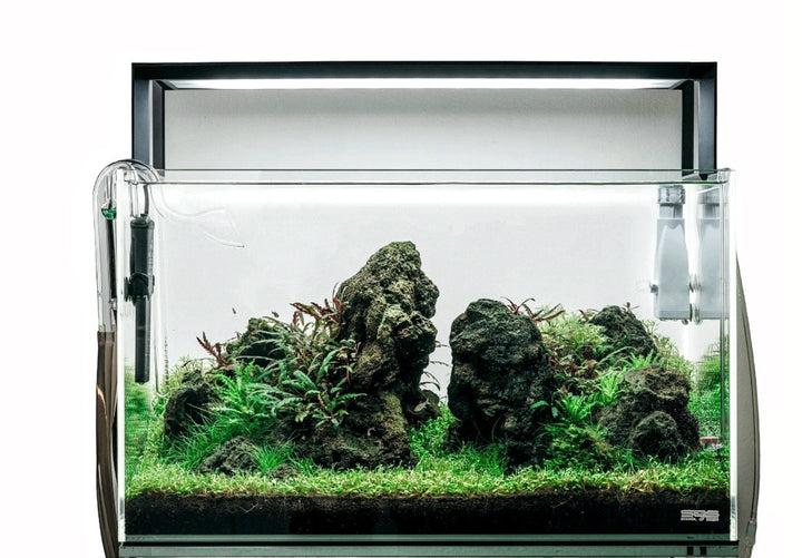 Icelandic Lava Rock (Blue Fairy Lava) for Aquarium