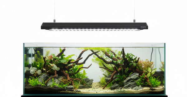 Netlea Lights (Voice Controlled - New)