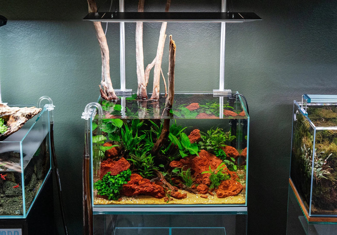 Red Lava Rock for Aquarium