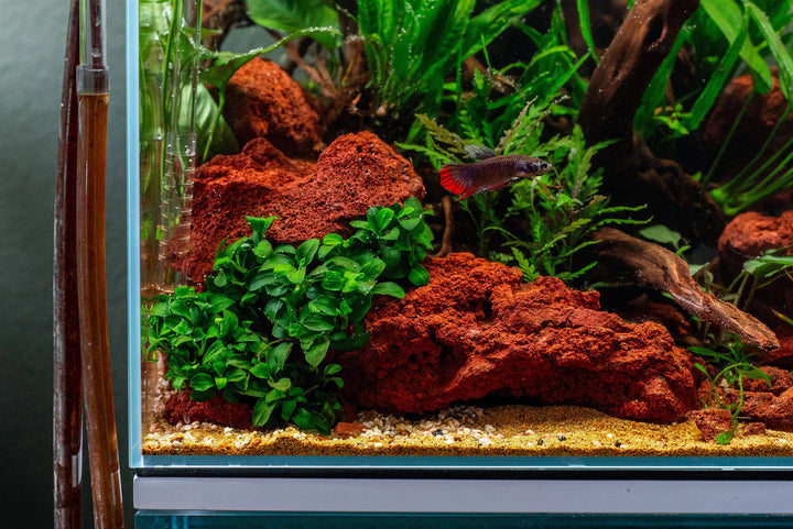 Buy High Quality Red Lava Rock