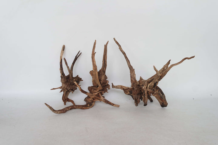 Slim Wood driftwood aquarium decor natural aquascaping wood