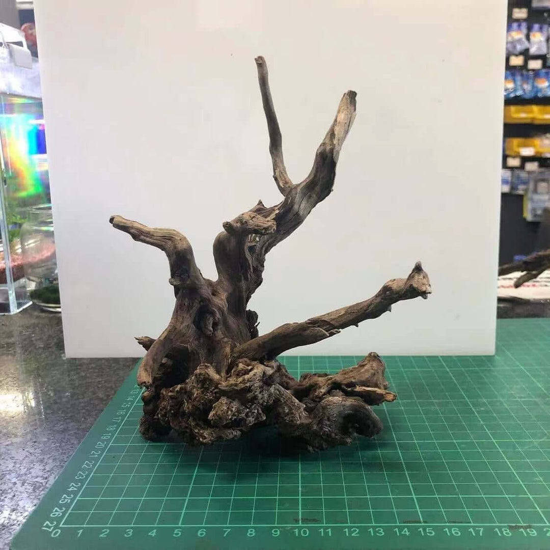 Slim Wood driftwood aquarium decor natural aquascaping wood