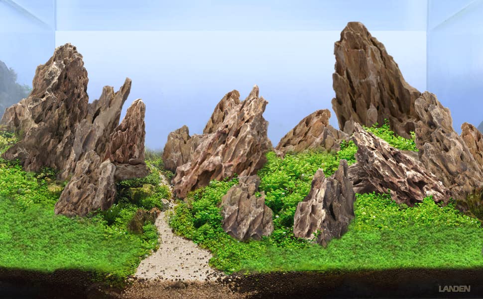 Top Aquascaping Ideas Using Dragon Stone, Lava Rock and Seiryu Stone