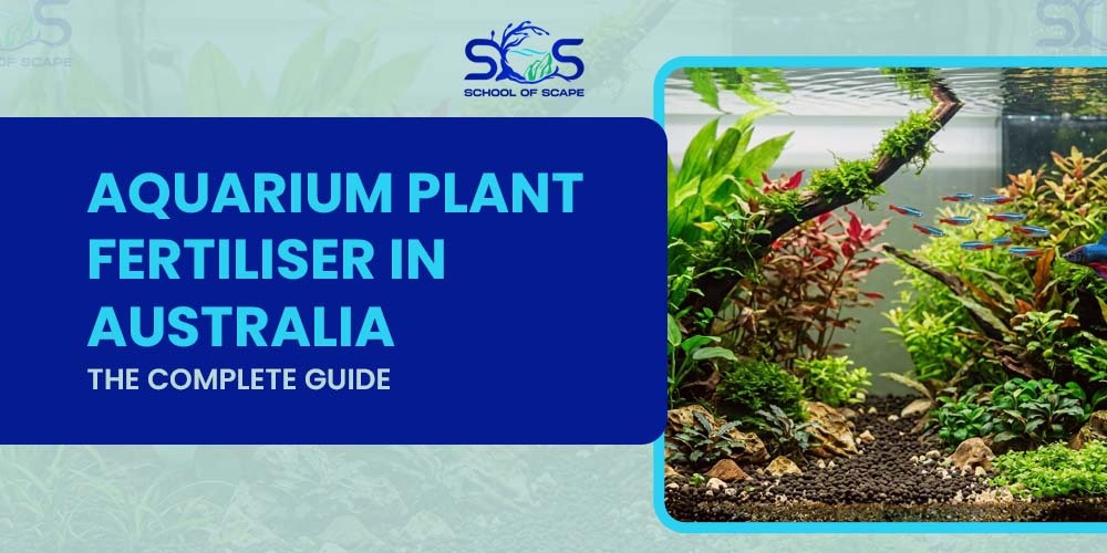 Aquarium Plant Fertiliser In Australia: The Complete Guide