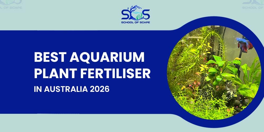 Best Aquarium Plant Fertiliser in Australia 2026