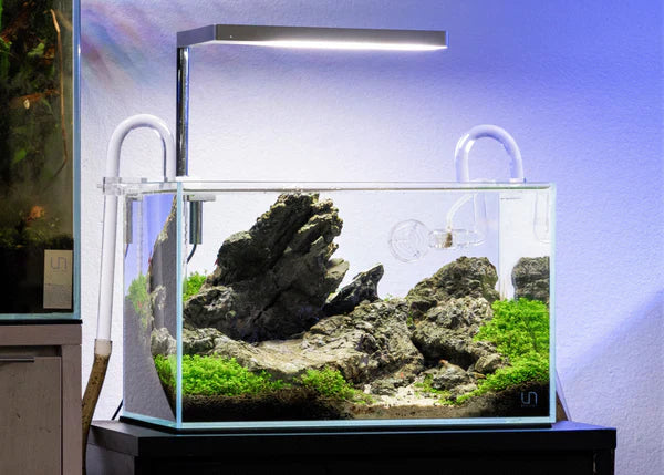 Aquascaping for Small Spaces: Maximizing Impact with Nano Tanks