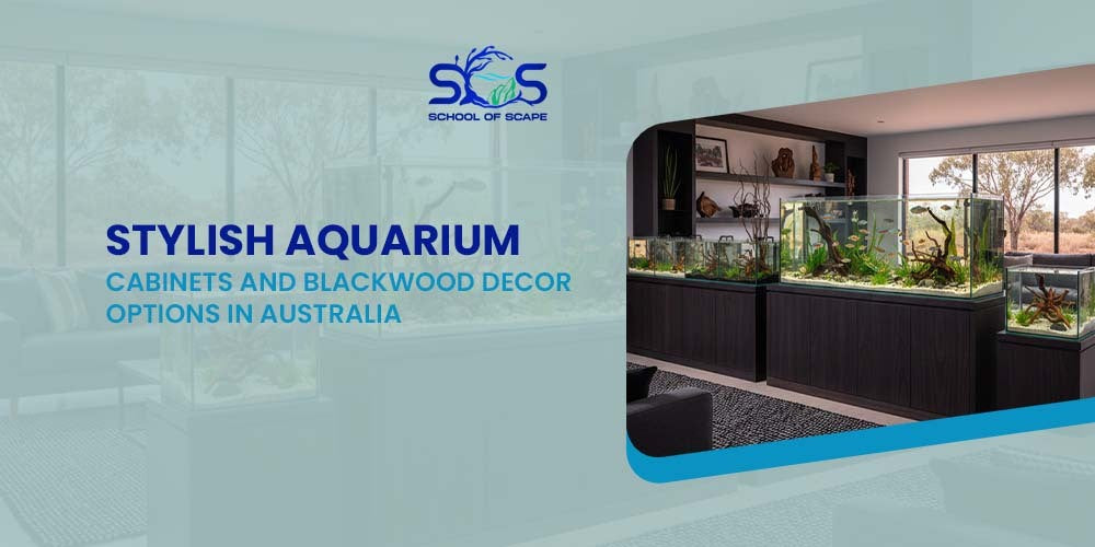 Stylish Aquarium Cabinets and Blackwood Decor Options in Australia