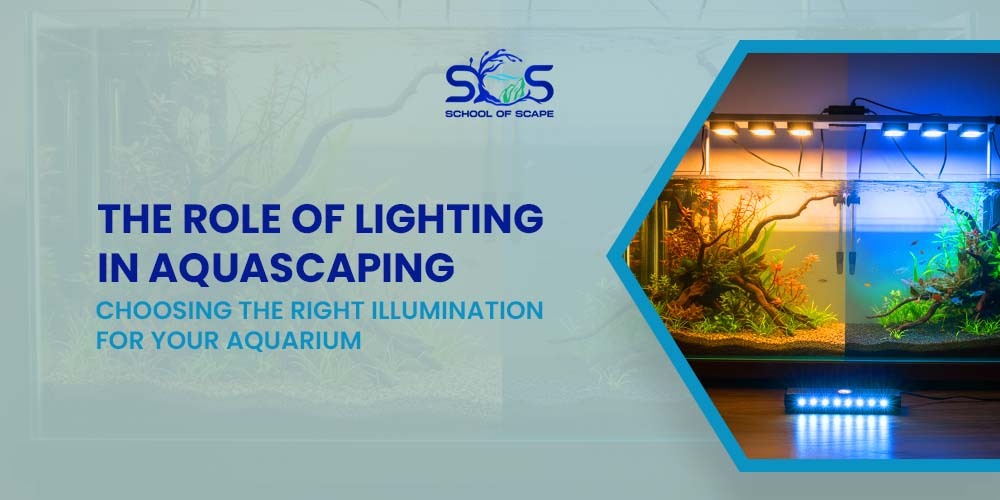 The Role of Lighting in Aquascaping: Choosing the Right Illumination for Your Aquarium