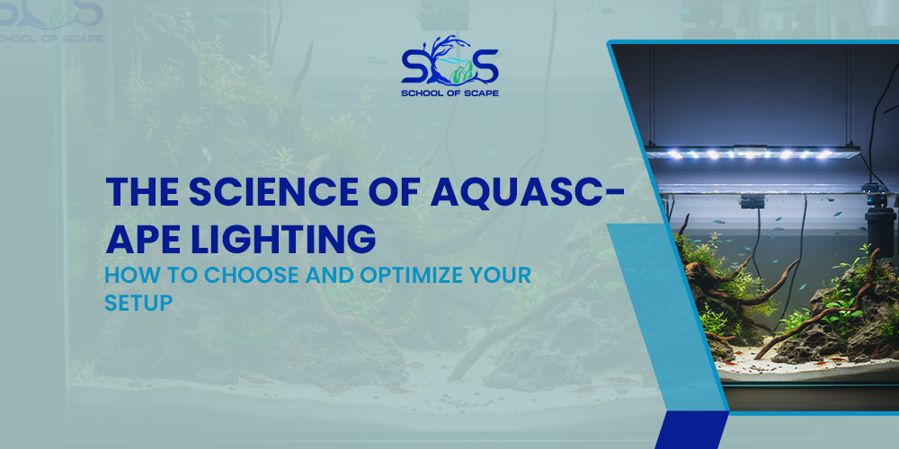 The Science of Aquascape Lighting: How to Choose and Optimize Your Setup