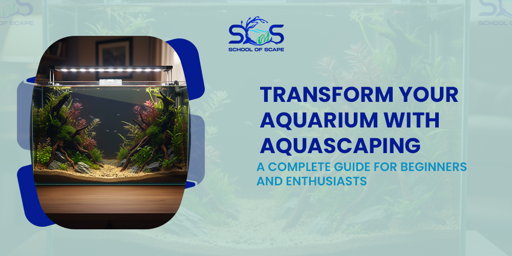 Transform Your Aquarium with Aquascaping: A Complete Guide for Beginners and Enthusiasts