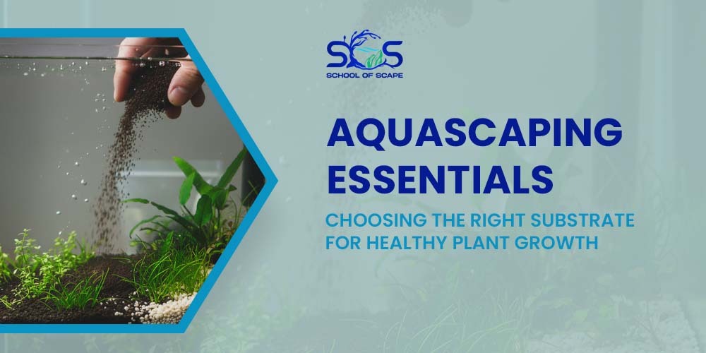 Aquascaping Essentials: Choosing the Right Substrate for Healthy Plant Growth