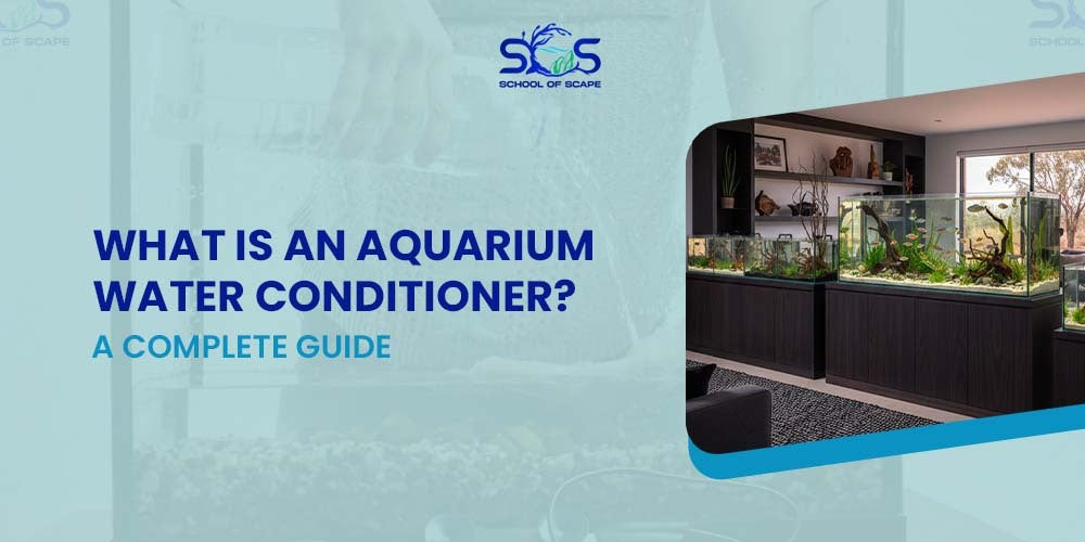 What Is an Aquarium Water Conditioner? A Complete Guide