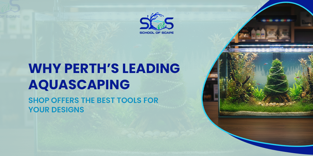 Why Perth’s Leading Aquascaping Shop Offers the Best Tools for Your Designs