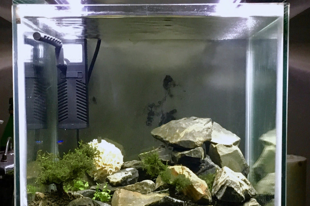 Filtration