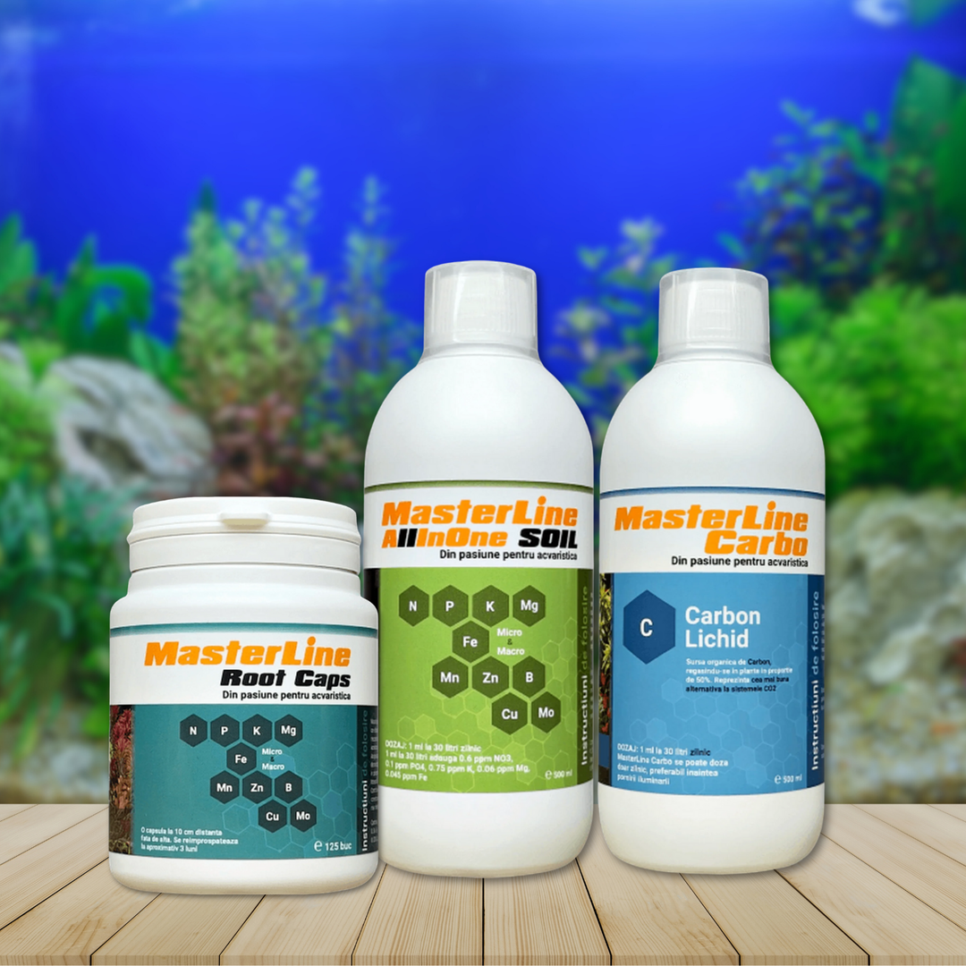 Aquascaping Tools