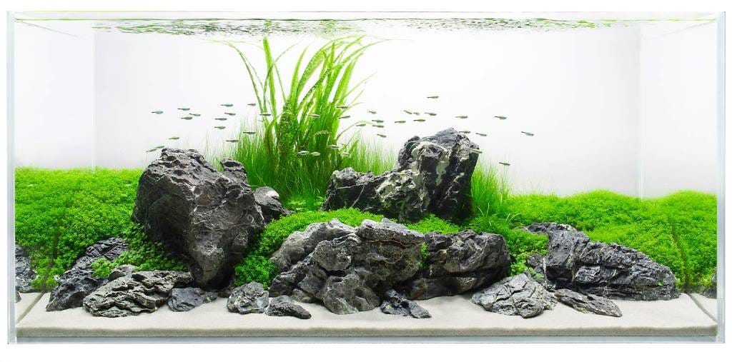 Grey Seiryu Stone, view 4
