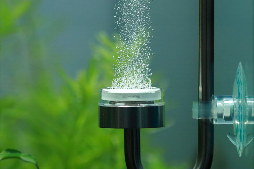 Aquarium filter with water flowing and plants 