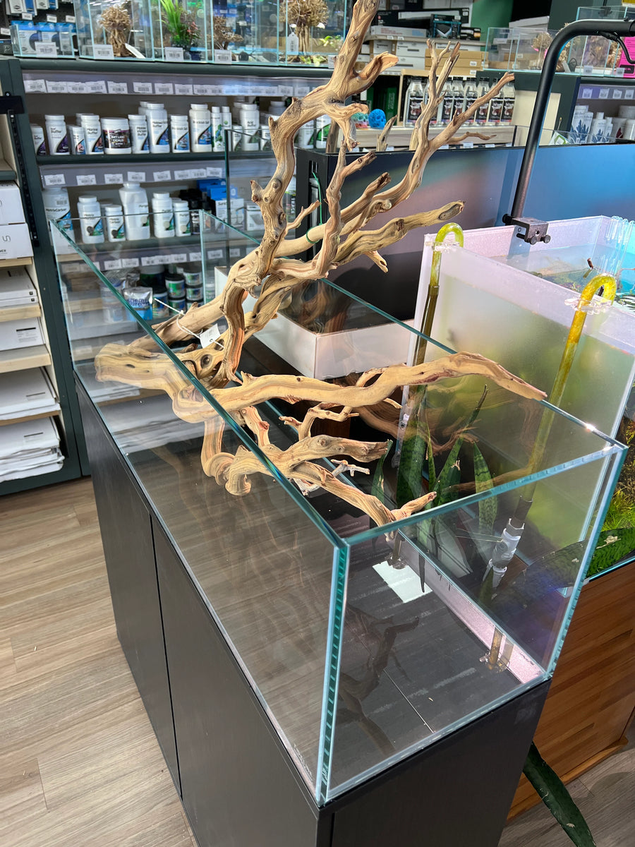 Bookshelf Series Aquarium
