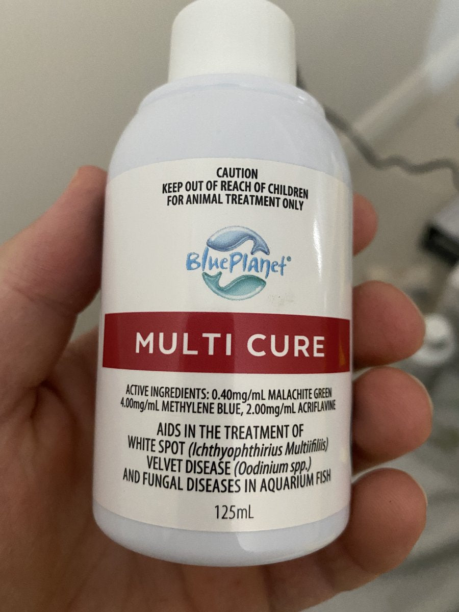 Blue Planet Multi Cure 125ml Whitespot and Fungus Treatment