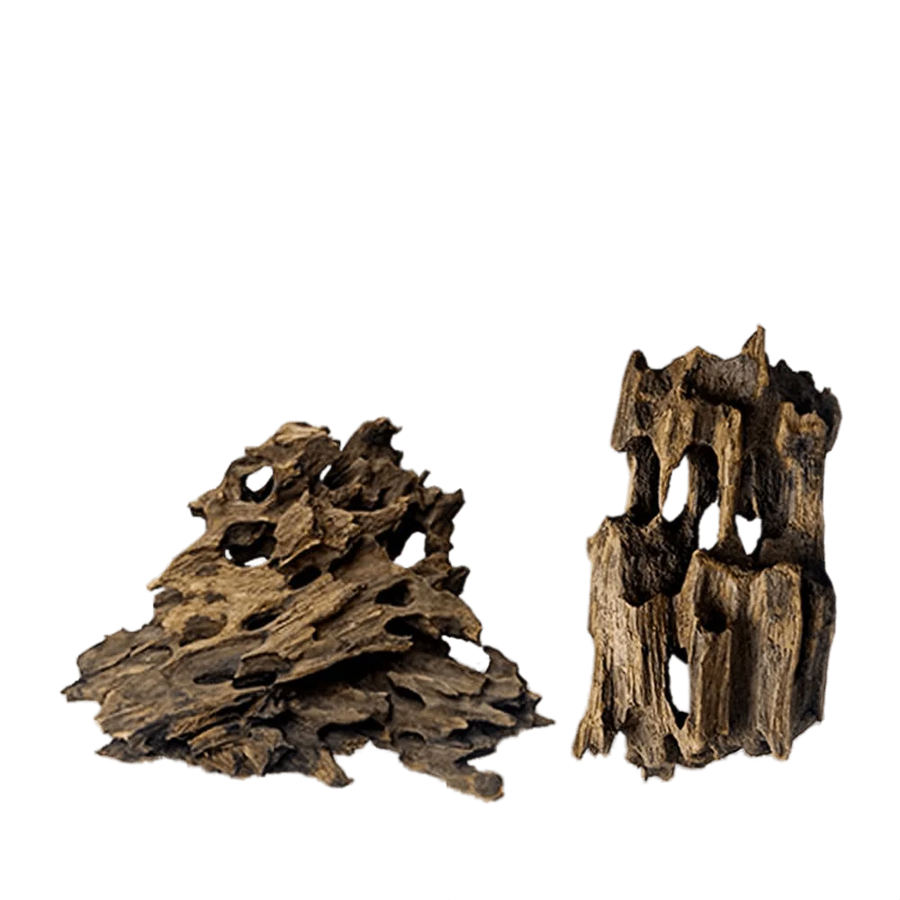 Best Honeycomb wood