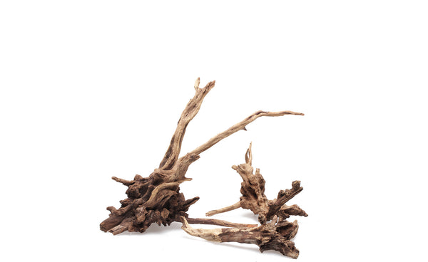 Slim Wood driftwood aquarium decor natural aquascaping wood (sold per pcs)
