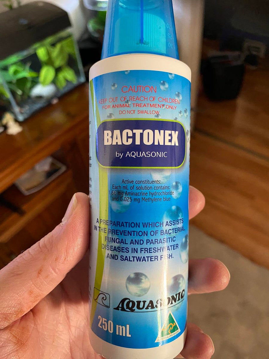 Aquasonic Bactonex