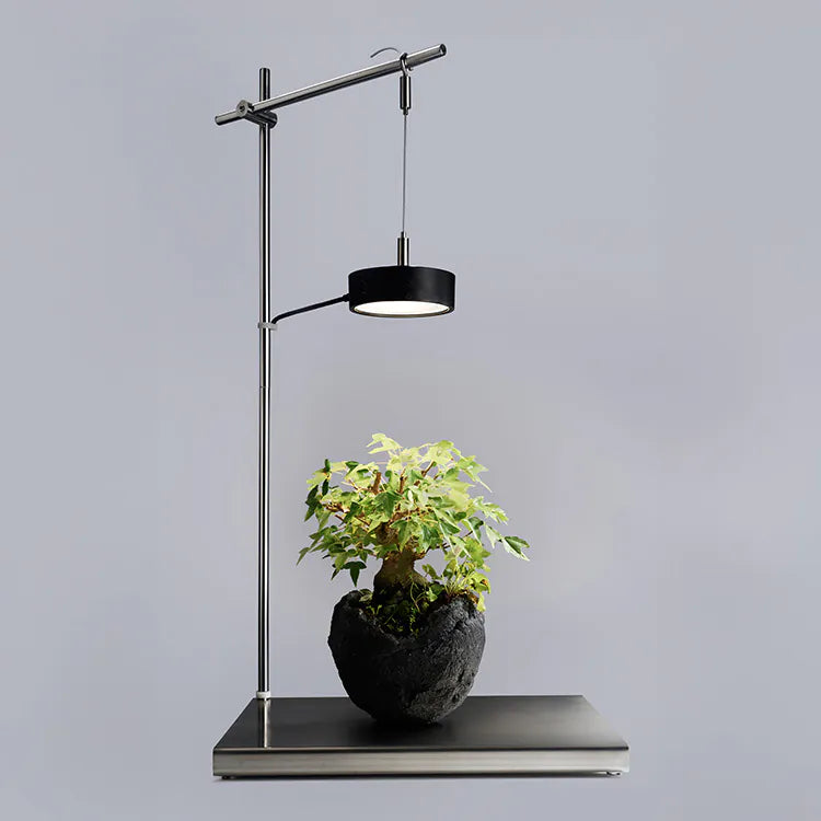 Modern indoor plant stand with adjustable black lamp on a gray background