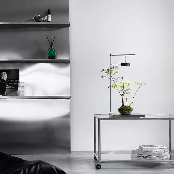 ONF X ANA Stainless Steel Light Stand Set