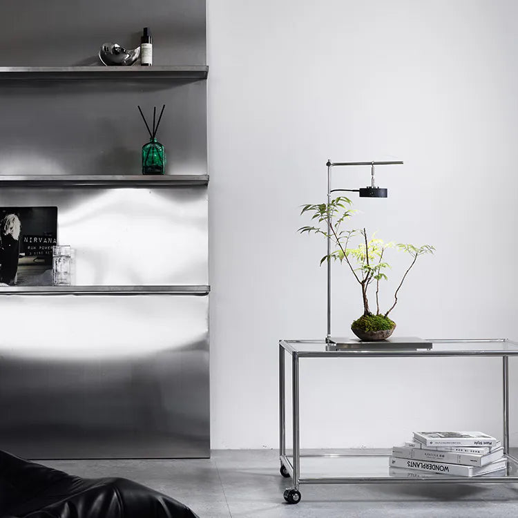 Modern interior with metal shelves, a glass table, and decorative items.