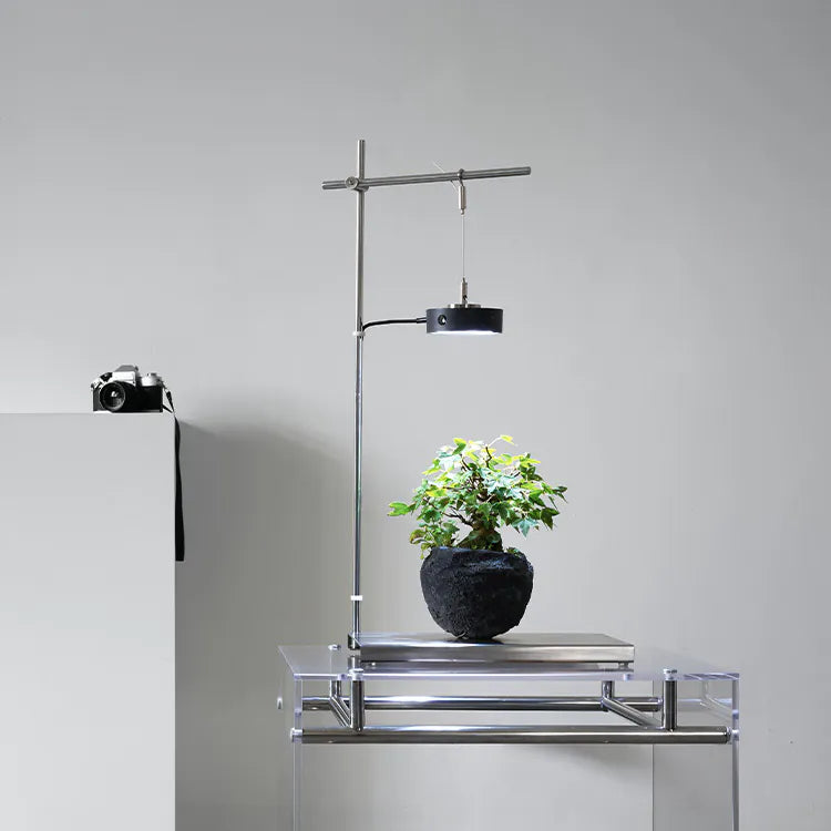 Modern indoor plant stand with a potted plant on a neutral background