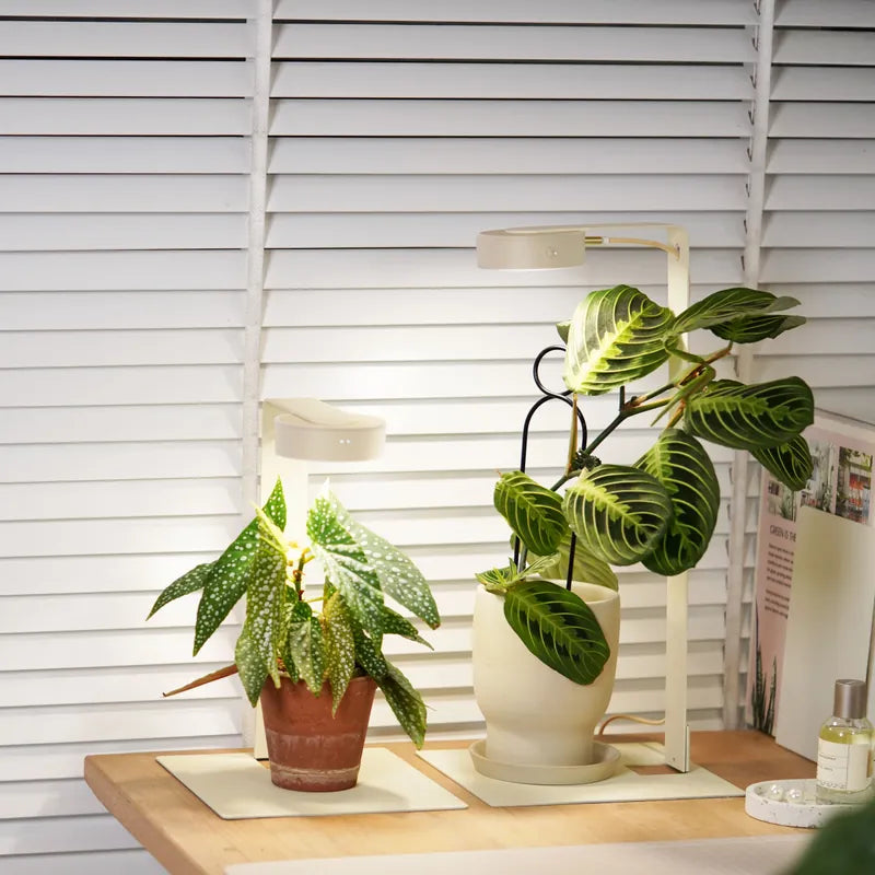 ONF MIST O+ Smart LED Plant Light + Stand Bundle, two potted plants on a wooden surface with the light