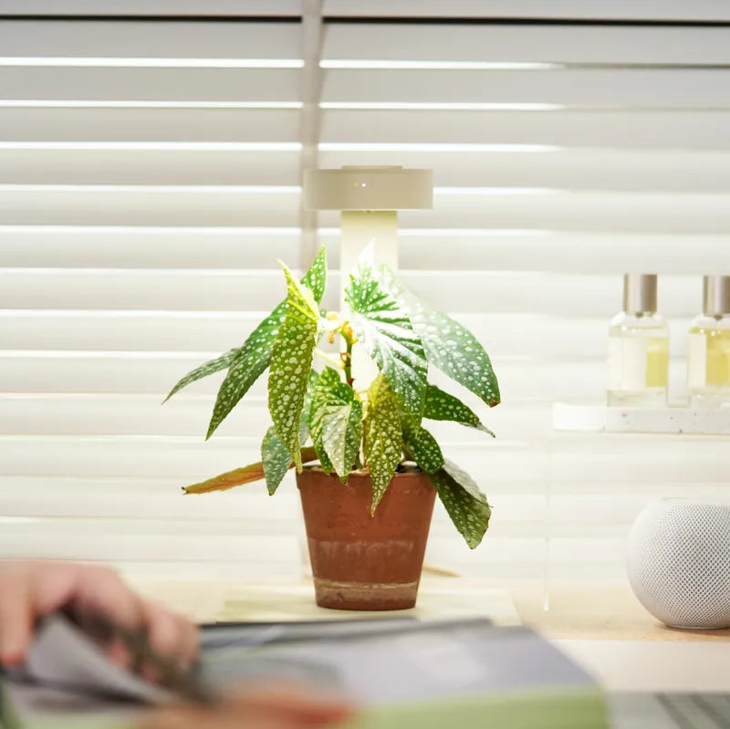 ONF MIST O+ Smart LED Plant Light + Stand Bundle