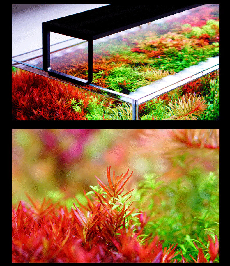 Buy Affordable Netlea AT5 Slim 560S - Aquarium LED Lights (New Voice Control)