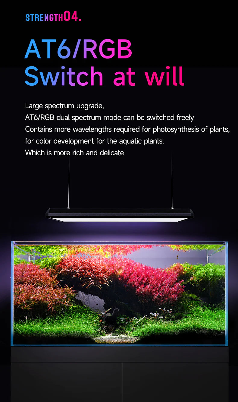 Netlea AT6 Pro