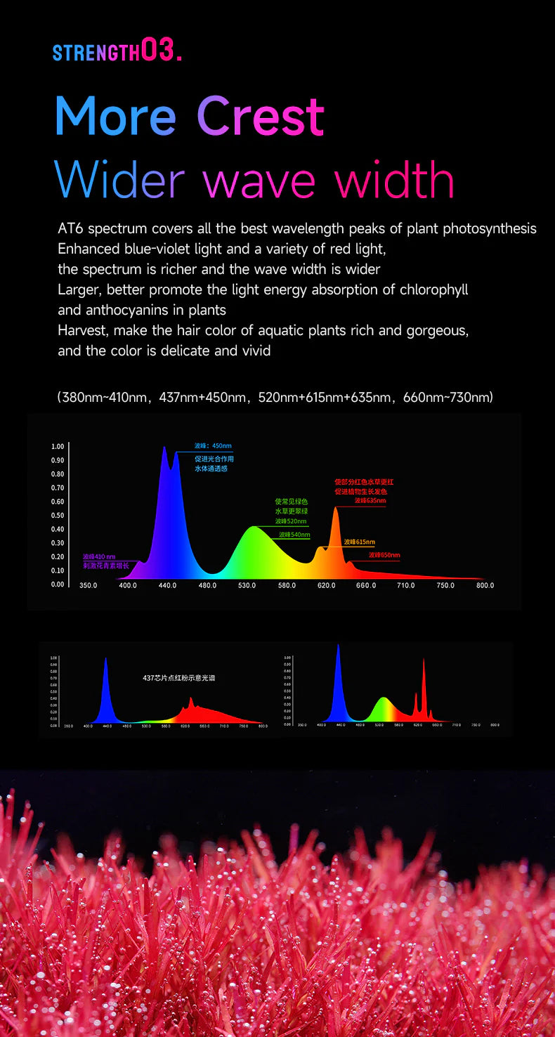 Netlea AT6 Pro 160W Full Spectrum 