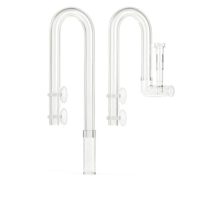 Pair of clear glass earrings