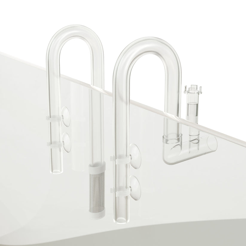 White metal ladder 