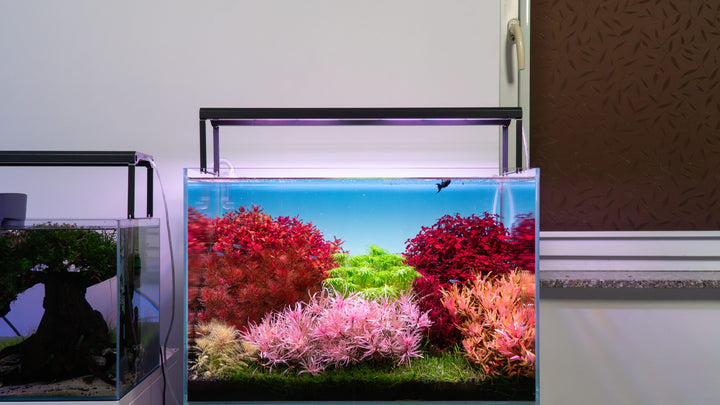 Skylight hyperBar for aquascaping