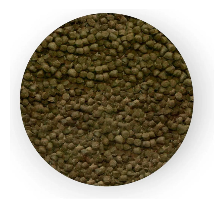 Sera Shrimp Granules 55g