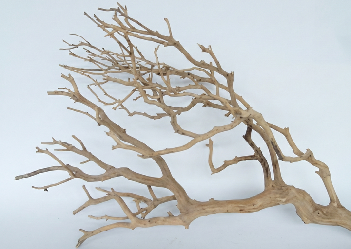 Driftwood piece on a light 