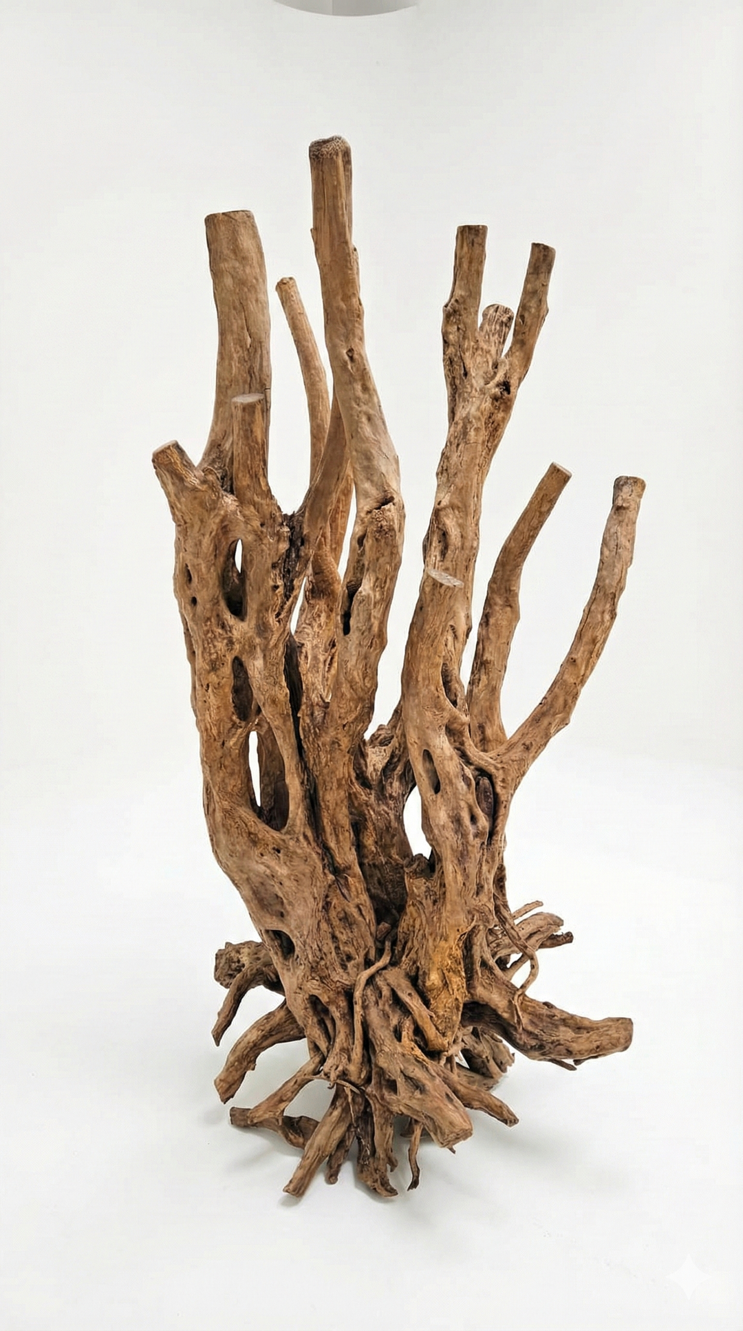 Driftwood piece