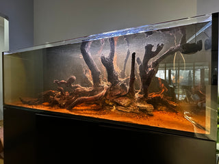 Ironwood for aquarium