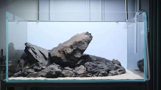 Ancient Stone for Aquarium