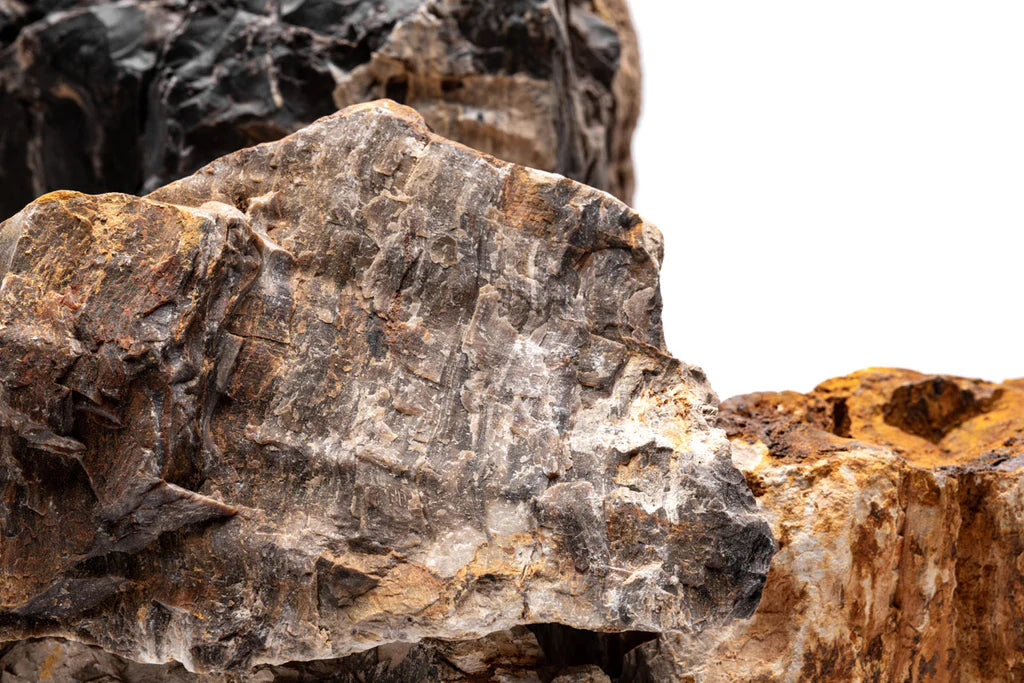 High Quality Petrified Wood for Aquarium