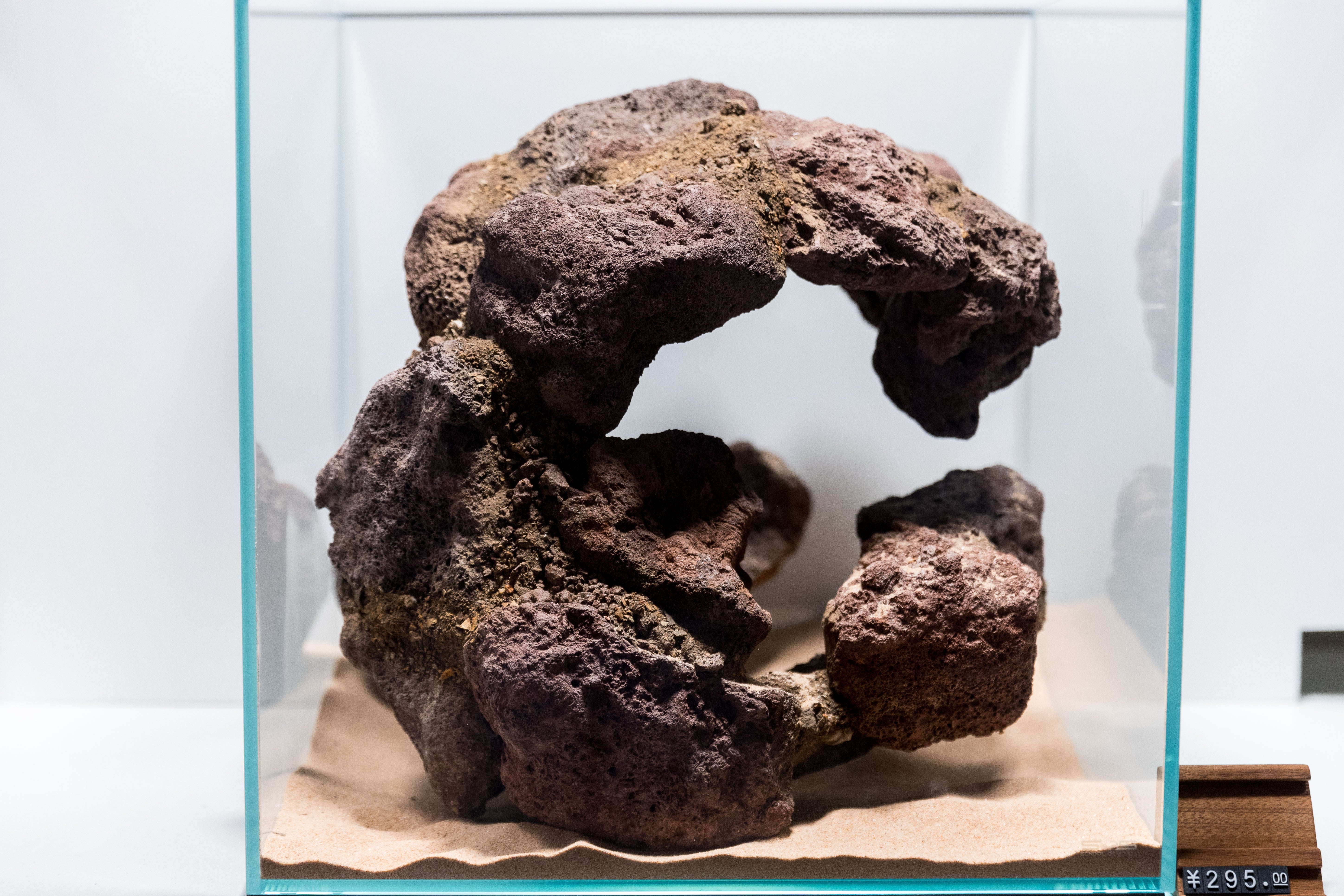 Aquascape Decor (Wood & Rocks)