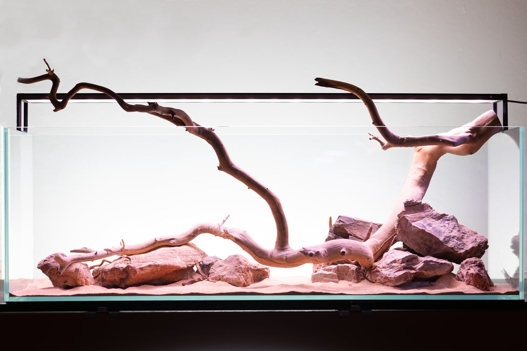 Aquarium with rocks and branches 