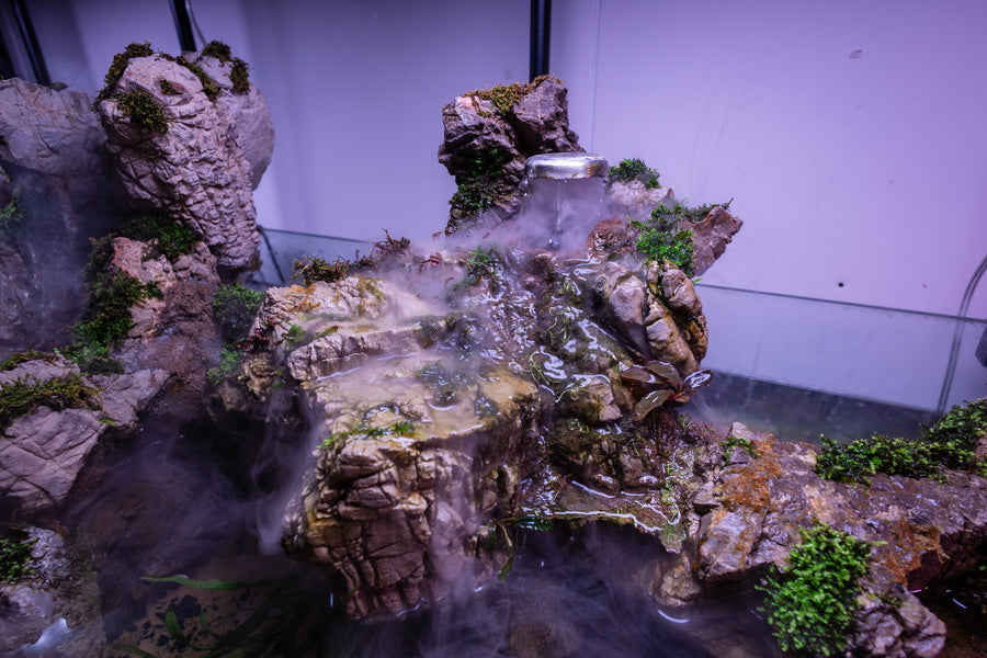Rocky aquarium landscape with water flowing over rocks