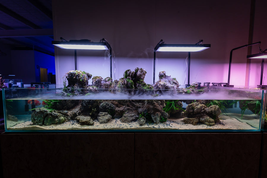 Large aquarium with rock formations and plants under bright lights in a dark room.
